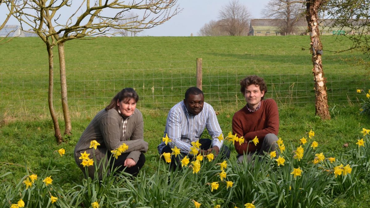 Photograph of University of Nottingham researchers crouching by daffodils in front of farmland