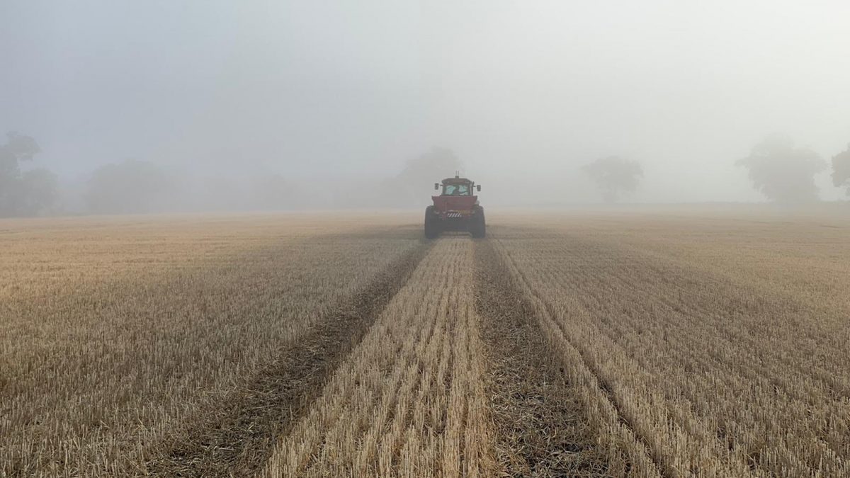 A tractor applies biochar to a field of crop stubble on a misty morning.